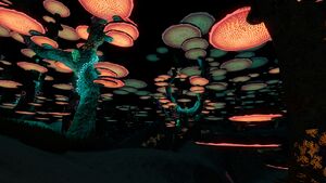 MushroomForest2.jpg