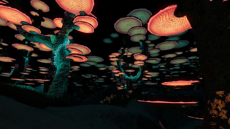 File:MushroomForest2.jpg