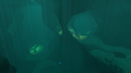 Sparse Reef wonders