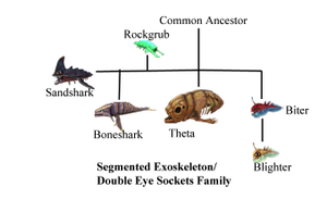 Segmented ExoskeletonDouble Eye Sockets Family.png