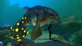 Size comparison with the player.