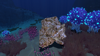A Gold Deposit in the Bulb Zone