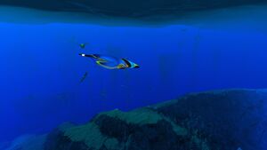 PengwingSparseArctic.jpg