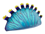 Pouch Bulb Flora.png