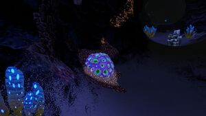 KooshCaves4.jpg