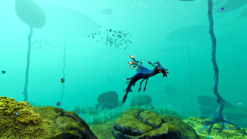 File:Lily Paddler roaming around island.jpg