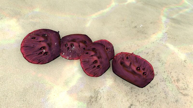 File:Red coral.jpg