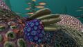 Thumbnail for version as of 20:34, 5 May 2017