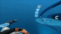 Thumbnail for version as of 10:53, 5 April 2017