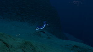 WarpsRevived6.png