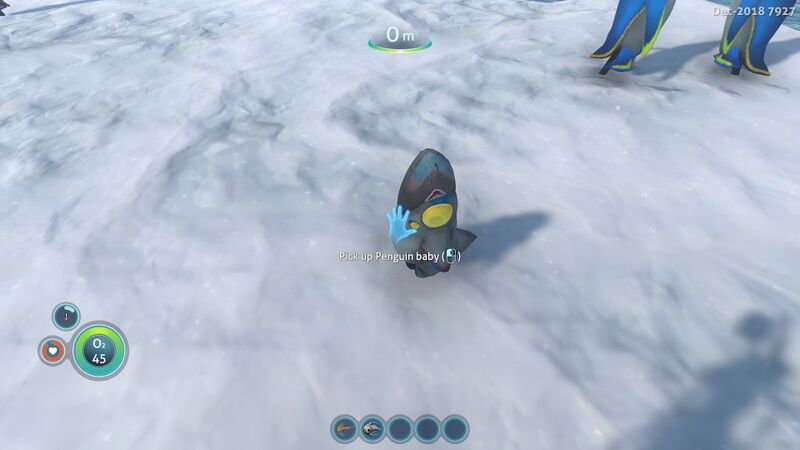 File:BabyPenguin.jpg