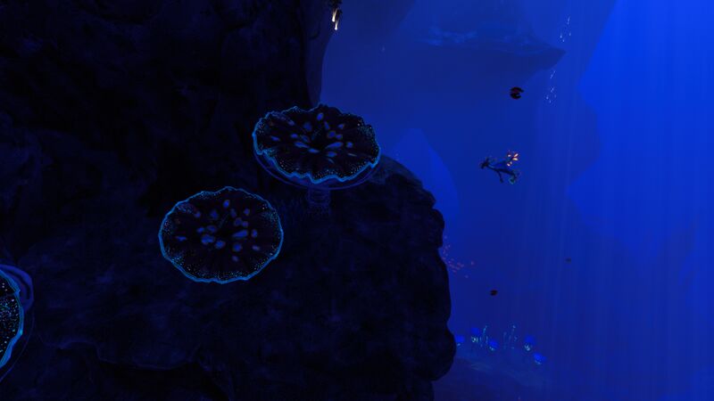 File:Cliffside.jpeg