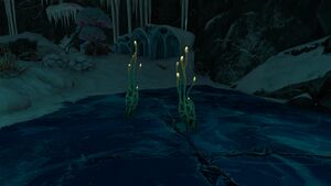 FrozenRiverPlant02 2.jpg