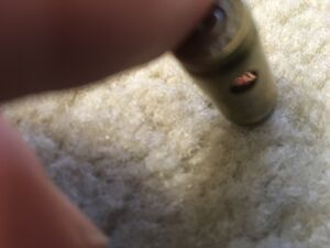 IMG 4039.jpg