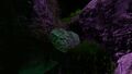 A Boulder in one of the Caves