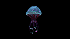 King Jelly Side 2.png