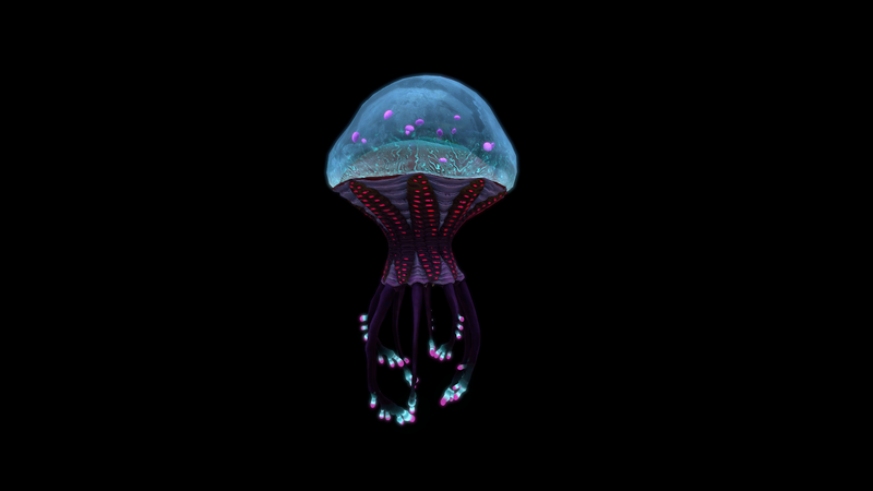 File:King Jelly Side 2.png