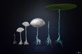 Lilypad stages lowpoly and bakes wip.jpg