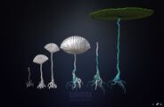 Lilypad stages lowpoly and bakes wip.jpg