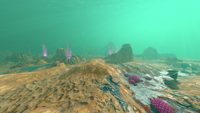 Overview of the biome's western section