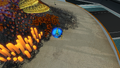 SpadefishEggInGame.png