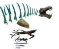 Thumbnail for version as of 04:08, 23 June 2017