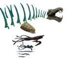 From bottom: blue whale, reaper leviathan, ghost leviathan, sea dragon, sea emperor, precursor cache skull, bone field skeleton