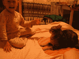 The baby punching the cat