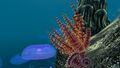 2015-04-10 00084.jpg