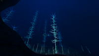 Blood Kelp Trench.png