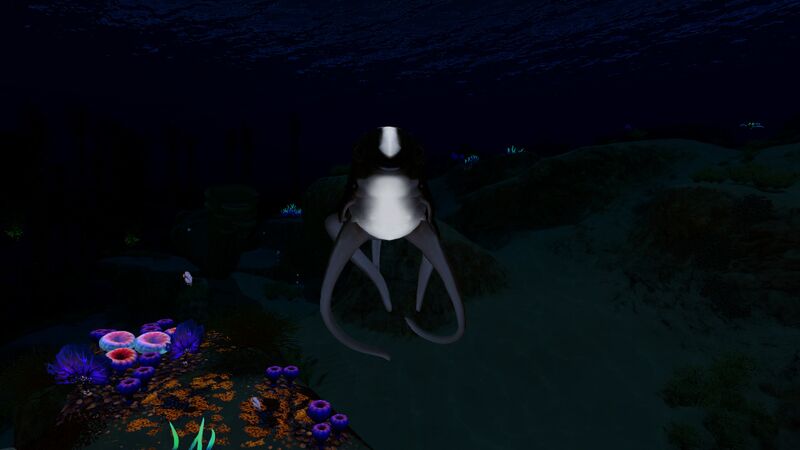 File:Cutefish2.jpg
