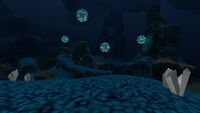 Diamonds in the Deep Grand Reef