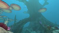 The giant Tree's "roots"