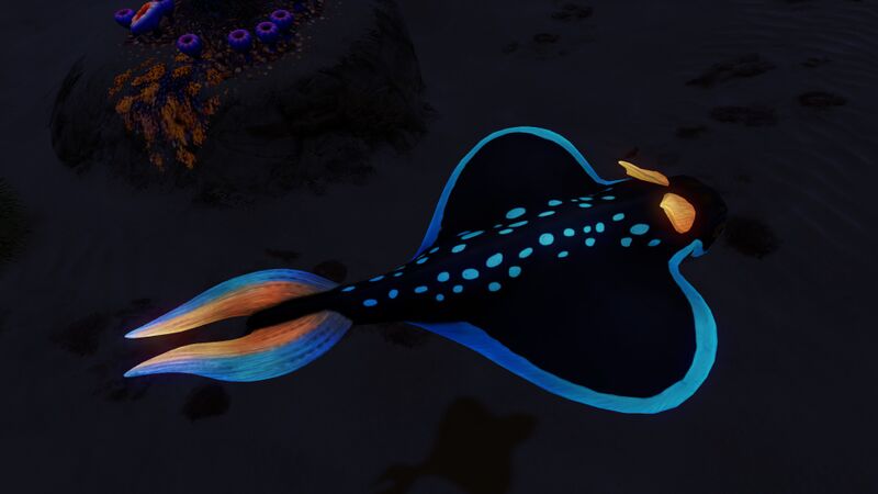 File:Rabbitray (5).jpg