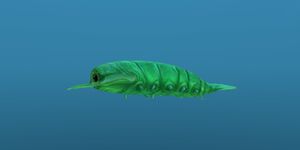 Rockgrub 10.jpg