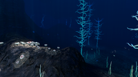 The Blood Kelp Trench
