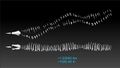 Theoretical whole skeleton length