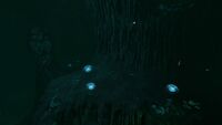 Some life on the sea floor