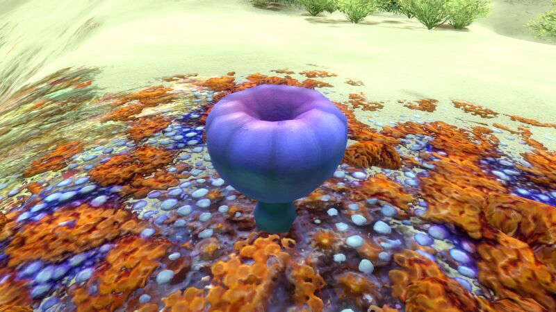File:Acid Mushroom (2).jpg