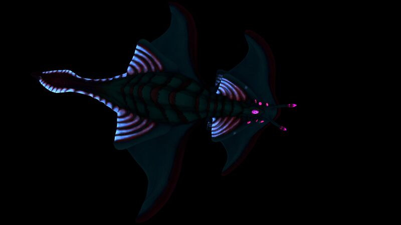 File:Arctic Ray Night 1.jpg
