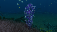 A Cave Bush in the Sea Treader's Path
