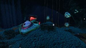 Deep Grand Reef (20).jpg
