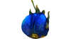 Eggs (7).png