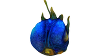 Spadefish or Reefback Leviathan Egg