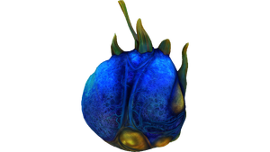 Eggs (7).png