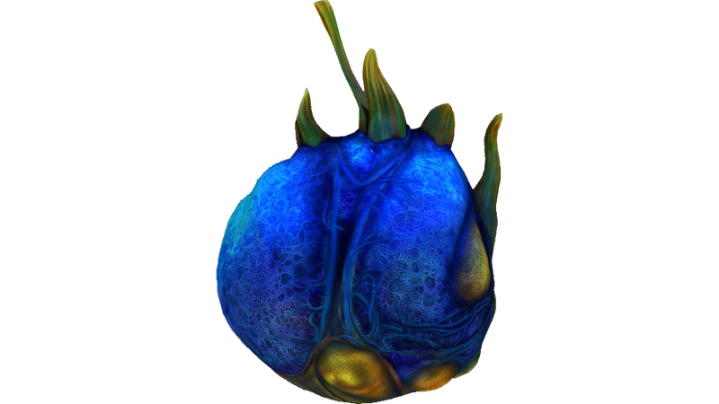 File:Eggs (7).png