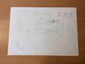 Mosquito Ray on paper