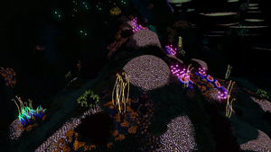 NWMF Flora Night.png