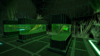 Tanks containing skeletal samples.