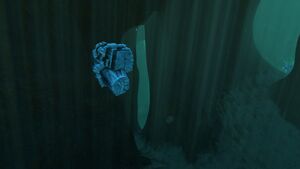 SparseReef5.jpg